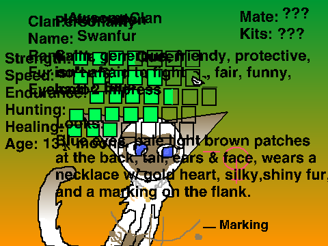 Warrior Cat Bio remix