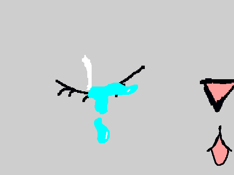 Animation test