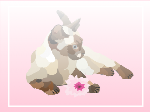 ~Siamese Blockshade~ 