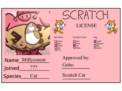 My Scratch License!