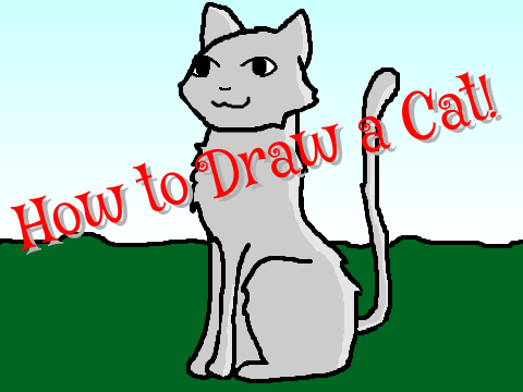 How to Draw a Cat!