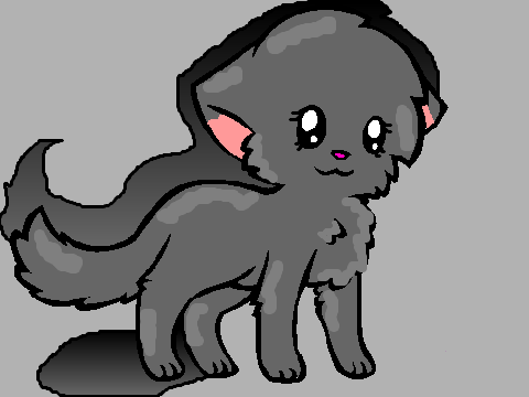 Cat CC ENTRY