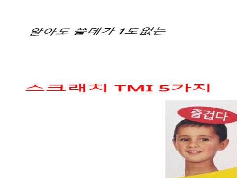 (쓸데없는)스크래치 TMI