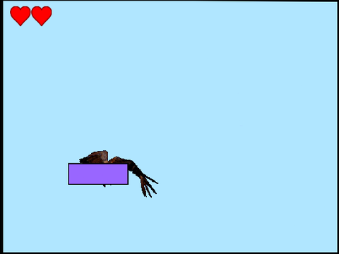 bird 1.2