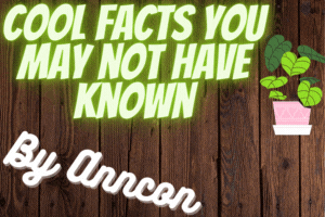  Cool facts you may not have known - Part 2 