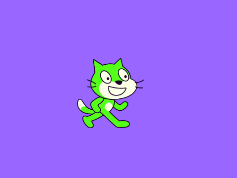change the cat