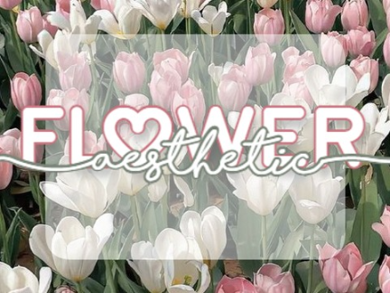 flower aesthetic!! :) acnh camp folder