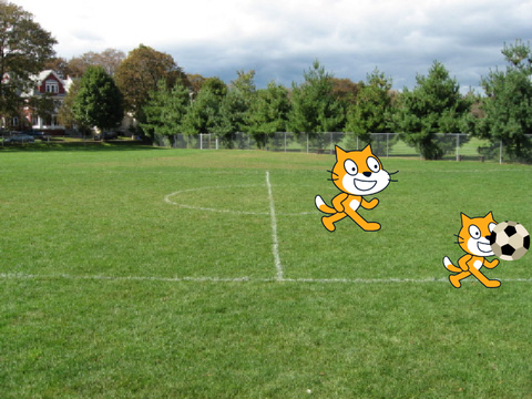 ネコのサッカー 