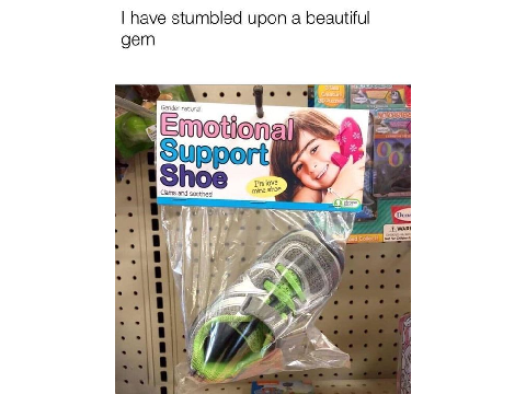 emotional support shoe
