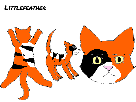 Create a Warrior Cat For first episode