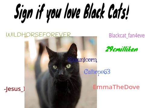 Sign if you love Black Cats! They're amazing! :) remix remix