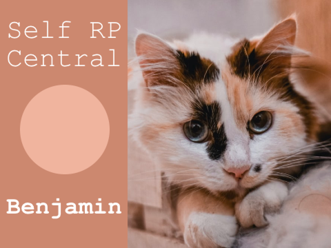 Self RP central | Benjamin
