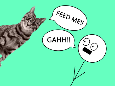 So apparently cats can talk...