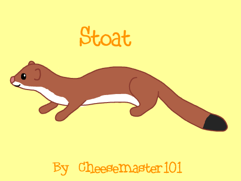 Stoat Drawing