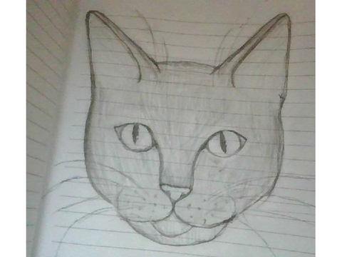 I drew a cat yay