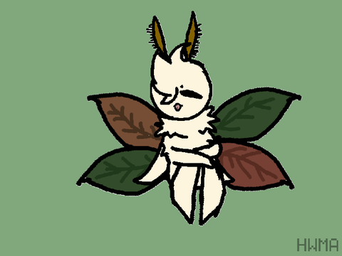 BEBE MOTH MUST PROTEC