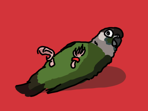 Bird art for ShimmerWing224