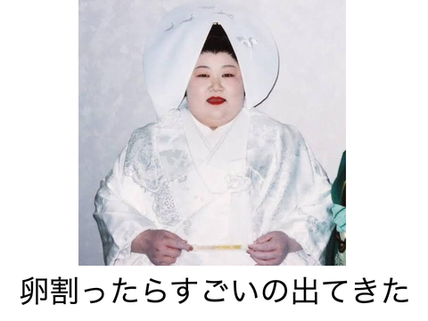 面白い画像集〔8〕100連発