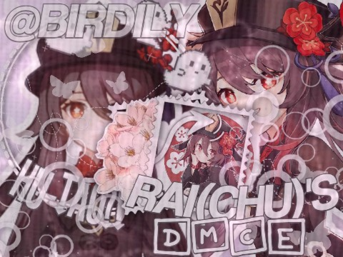 ✰ ₊ ⁀ ✈️  DMCE FOR RAI(CHU) >:) ✦ 
