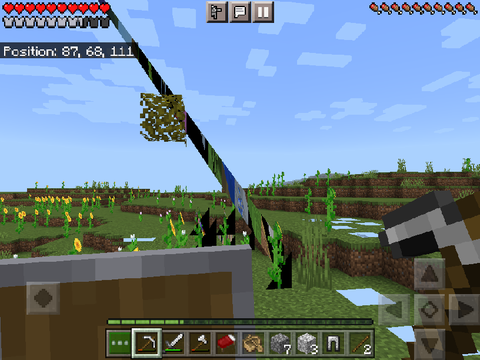 Minecraft glitch
