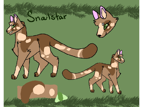 Snailstar and friends