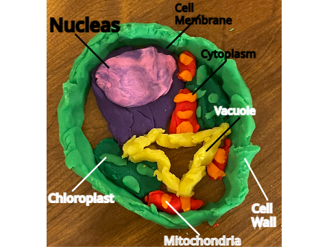 science still sucks