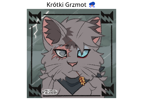 Krótki Grzmot - klan Burzy