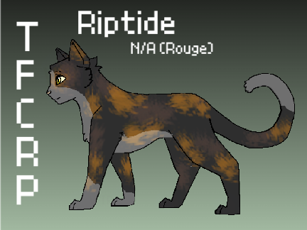⚓ Riptide ⚓ TFCRP