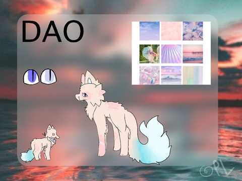 8 : dao