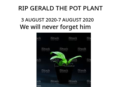 RIP GERALD THE POT PLANT