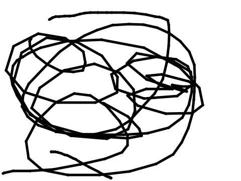 Pen