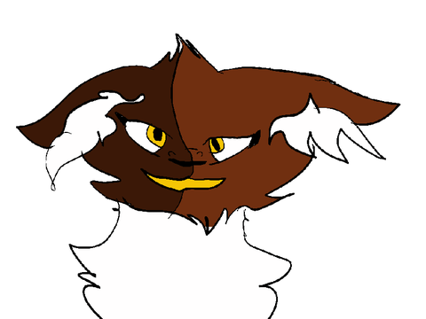6 - NEED HELP WITH COLORING