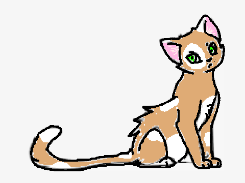 Cookie Kat