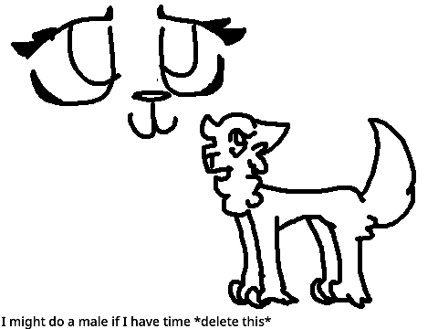 Free warriors cat ref sheet