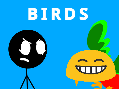 Birds.