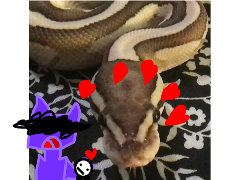 Snake :0
