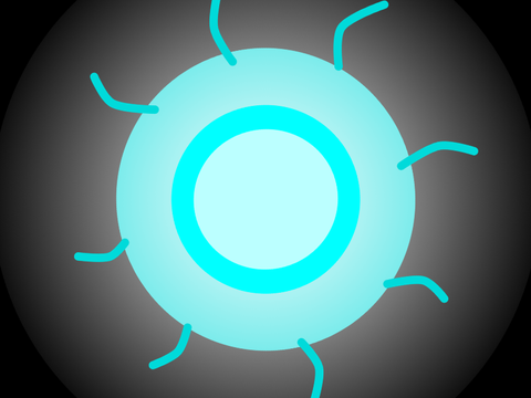 Portal