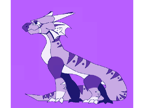 Dtae Lilac tiger dragon 