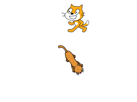 cat and another cat