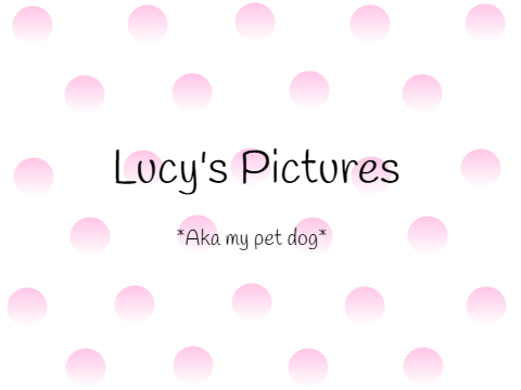 Lucy's cute pictures *uwu*