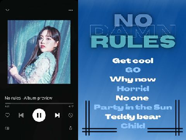 No rules - CB Album Preview