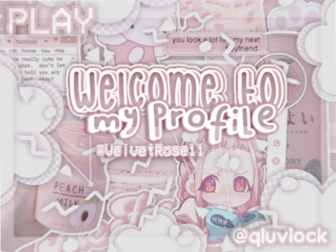 (≧◡≦)