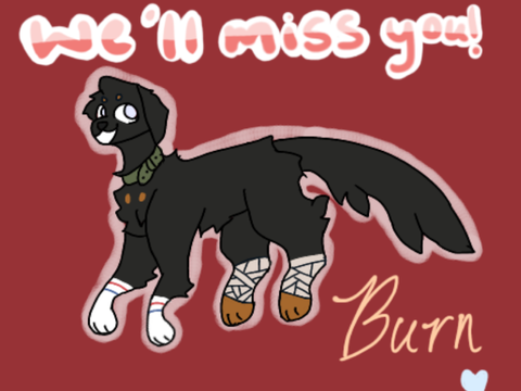 <3 Gifto for Burn .