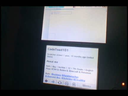 Scratch on the Nintendo 2DS Internet Browser?