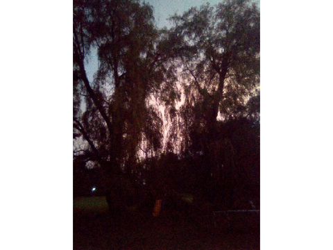 The air looks orange to me