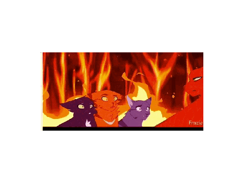 My warrior cats intro (not complete )