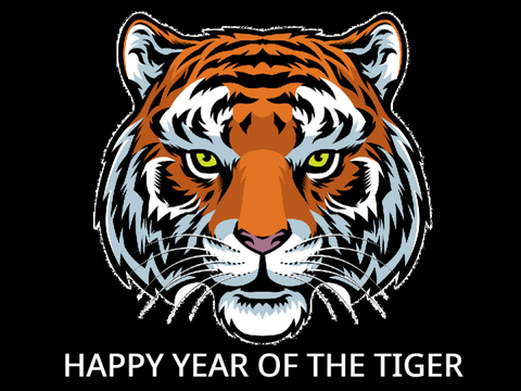 THE YEAR OF THE TIGER!