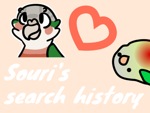 Souri's search history 