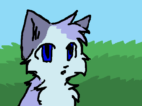meet rainfoot