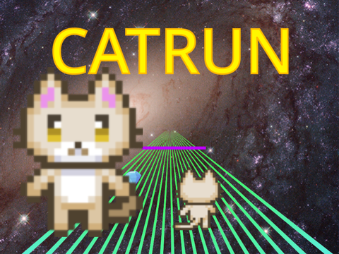 CATRUN　v0.1